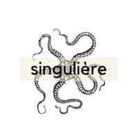 Singulière Communication logo - Similar company to Bob : Branding Communication