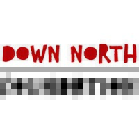 Down North Foundation logo - Similar company to Weitzman Center For Professional Learning