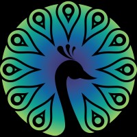 Krishyam Designs logo - Similar company to Bitlevel International