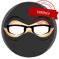 Webninjaz logo - Similar company to Web Ninjas