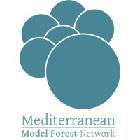 Mediterranean Model Forest Network logo - Similar company to Medfor