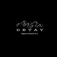 Detay Bağımsız Denetim A.Ş. logo - Similar company to Senior Consulting Kurumsal Danışmanlık Hizmetleri