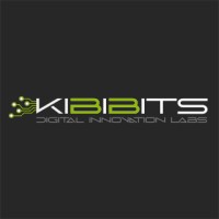 KibiBits srl logo - Similar company to Secarepay