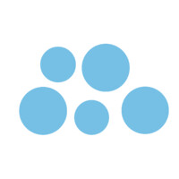 SpringFive logo - Similar company to Cloud Girafe -  Experts Salesforce