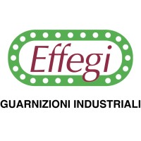 Effegi Srl logo - Similar company to Planet Air System