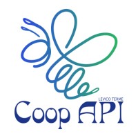 Assistenza Personale Integrata Società Cooperativa Sociale logo - Similar company to Medical Aid Srl