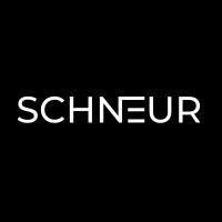 Schneur Web Design logo - Similar company to Budi