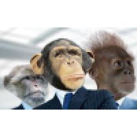 Secret Monkey Science, LLC logo - Similar company to Monkey In The Middle Apps