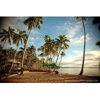 Experience Fiji logo - Similar company to Journeydmc