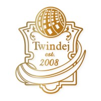 Twindej logo - Similar company to Saintronics