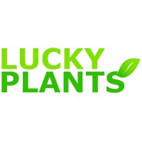 LUCKY PLANTS logo - Similar company to Wyreside Feed Solutions