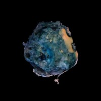 Florescence 3D logo - Similar company to Cypher Studio