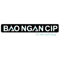 Bao Ngan Cip Company logo - Similar company to Mm Technologie