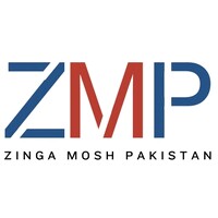 Zinga Mosh Pakistan logo - Similar company to Endurance Environment Private Limited