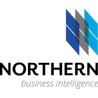 Northern Business Intelligence logo - Similar company to Frontier Technologies