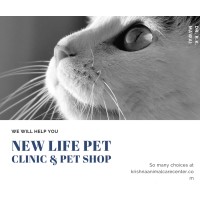 FUR&FEATHER PET CLINIC