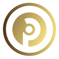 Professional Business Group logo - Similar company to Professional Digi Solutions