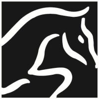 Holmestead Saddlery Ltd logo - Similar company to Supernimbus Ltd