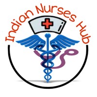 Indian Nurses Hub logo - Similar company to Nurses Group