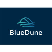 Blue Dune logo - Similar company to Solutionlaw