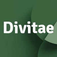 Divitae logo - Similar company to Ironforge