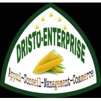 Entreprise Dristo consulting logo - Similar company to Makigo Protecting The Natural World (Ong)
