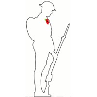 Remembered logo - Similar company to Ii Grp