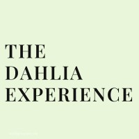 The Dahlia Experience