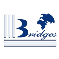 BRIDGES GROUP LTD logo - Similar company to Hm-Engineering Services