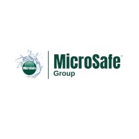 MicroSafe Group logo - Similar company to Microsafe