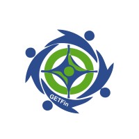 Get Financial Insights logo - Similar company to Jtdev-Consulting.Ltd