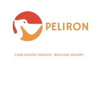 Peliron logo - Similar company to Learneeker