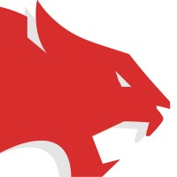 Roar Games Studio logo - Similar company to Datai