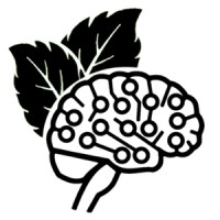 Vanderbilt University MINT Lab logo - Similar company to Vanderbilt Machine Learning