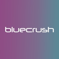 Blue Crush Digital Services logo - Similar company to Sync Social Ltd