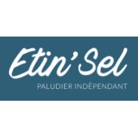 EI ETIN'SEL logo - Similar company to Etinsel