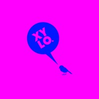 XYLO Worldwide logo - Similar company to Gwssb