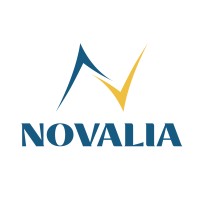 NOVALIA TRAVEL logo - Similar company to Travilya