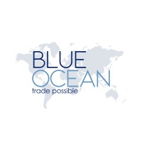 Blue Ocean Technologies, LLC logo - Similar company to Blue Ocean Technology Solutions (Bots)