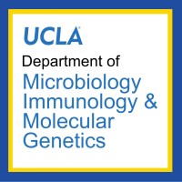 UCLA Department of Microbiology, Immunology and Molecular Genetics logo - Similar company to Nm-Inbre