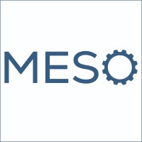 MESO Company LTD logo - Similar company to Jhami Global Impex Llp