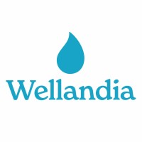Wellandia logo - Similar company to Helperz.Ro