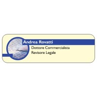 Dottore Commercialista logo - Similar company to Fiorentino Associati