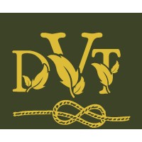 Dragon Vision Trading logo - Similar company to Mvent Philippines, Inc.