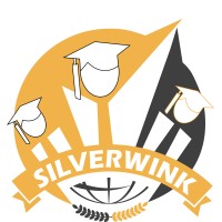 Silverwink IT Solutions logo - Similar company to Digitalbyte Academy