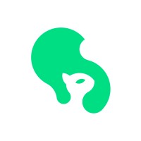 Skeelo logo - Similar company to Kiwify