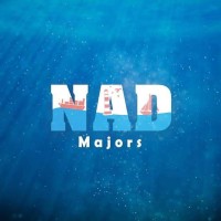 NAD Majors logo - Similar company to Stp Team