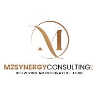 M2Synergy Consulting LLC logo - Similar company to Competitive Range
