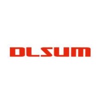 Hunan Dlsum Technology Co., Ltd logo - Similar company to Anbon Semiconductor (Int'L) Limited