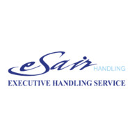eSair Handling S.r.l logo - Similar company to Flight Solutions